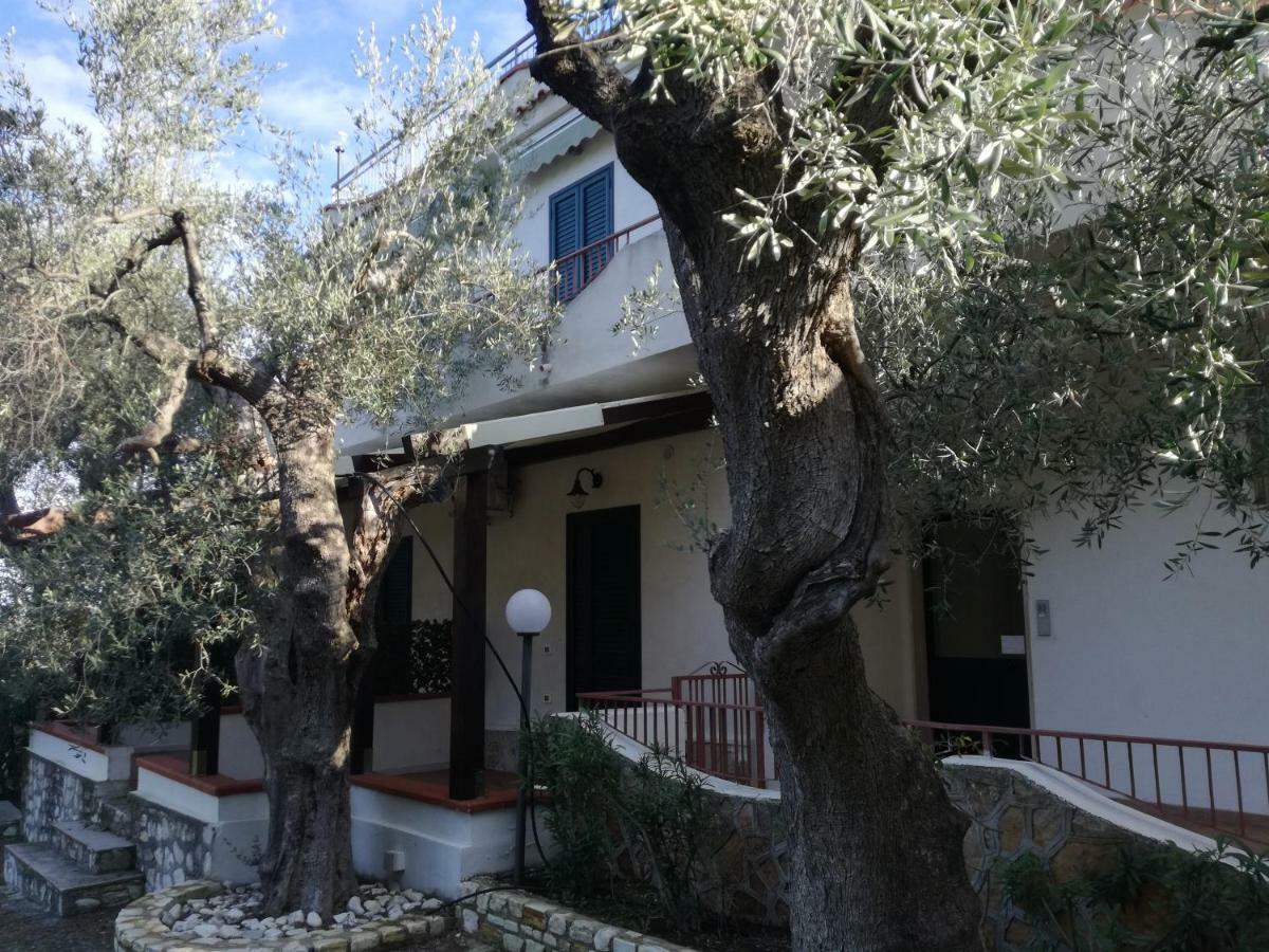 Villa Anna Residence Rodi Rodi Garganico Kültér fotó